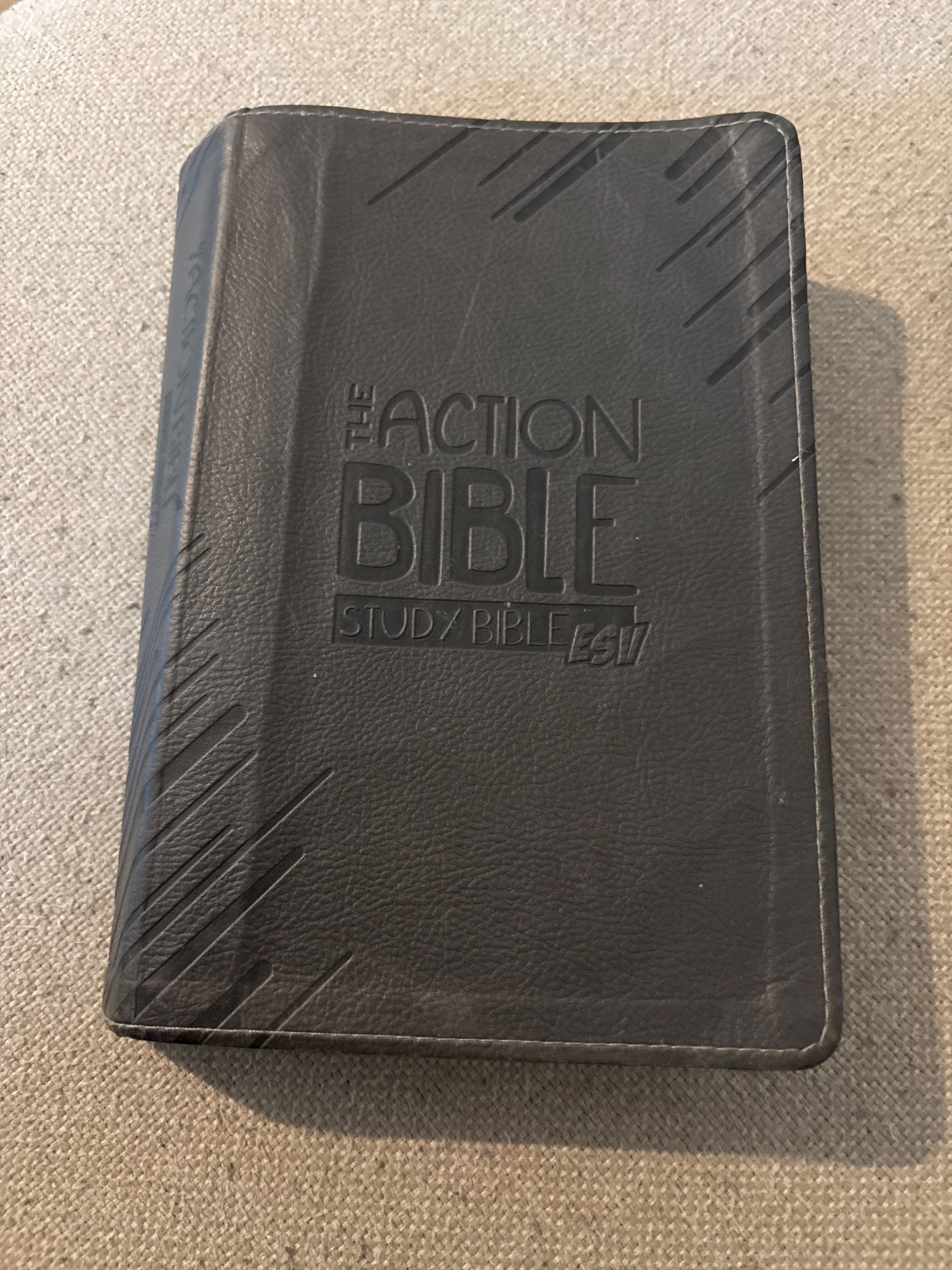 The Action Bible Study Bible ESV David C Cook Imitation Leather G…
