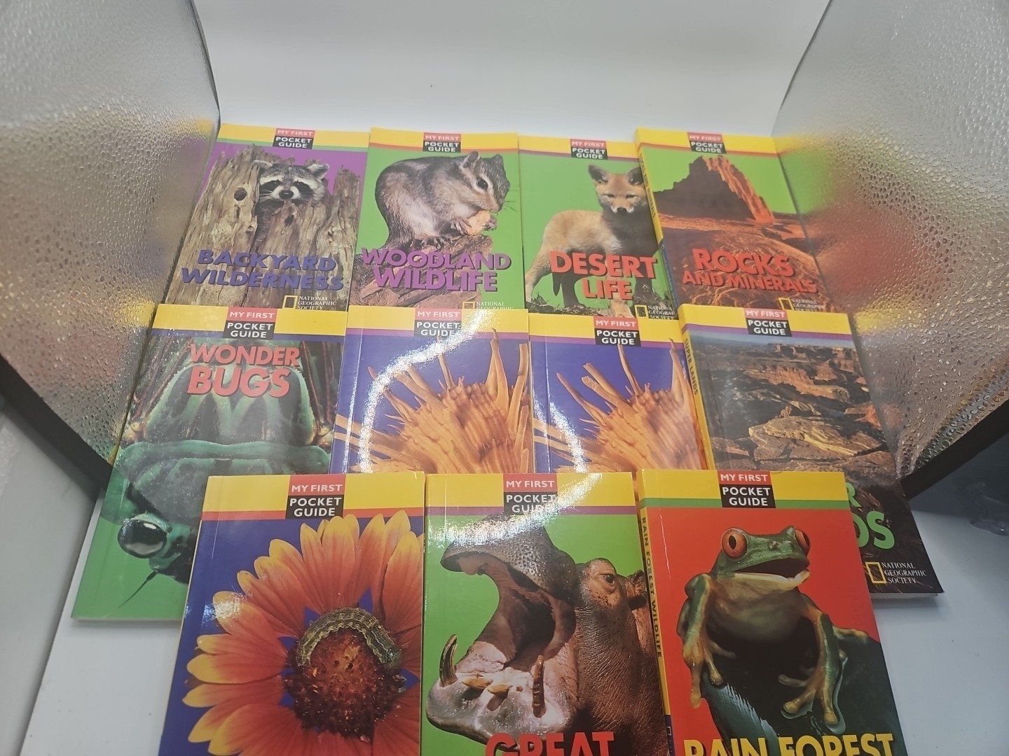 National Geographic My First Pocket Guides: Big Collection 11 Books science