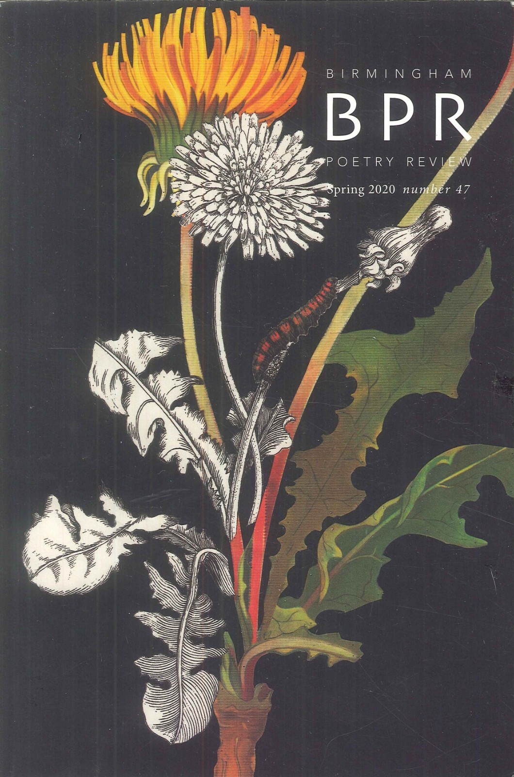 Birmingham Poetry Review Spring 2020 No 47 Anthology Magazine Betty Adcock Essay