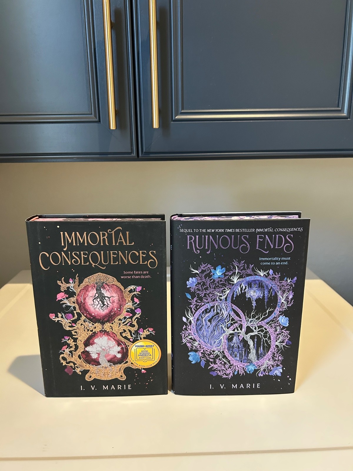Ruinous Ends & Immortal Consequences by I. V. Marie Hardcover Deluxe Edition