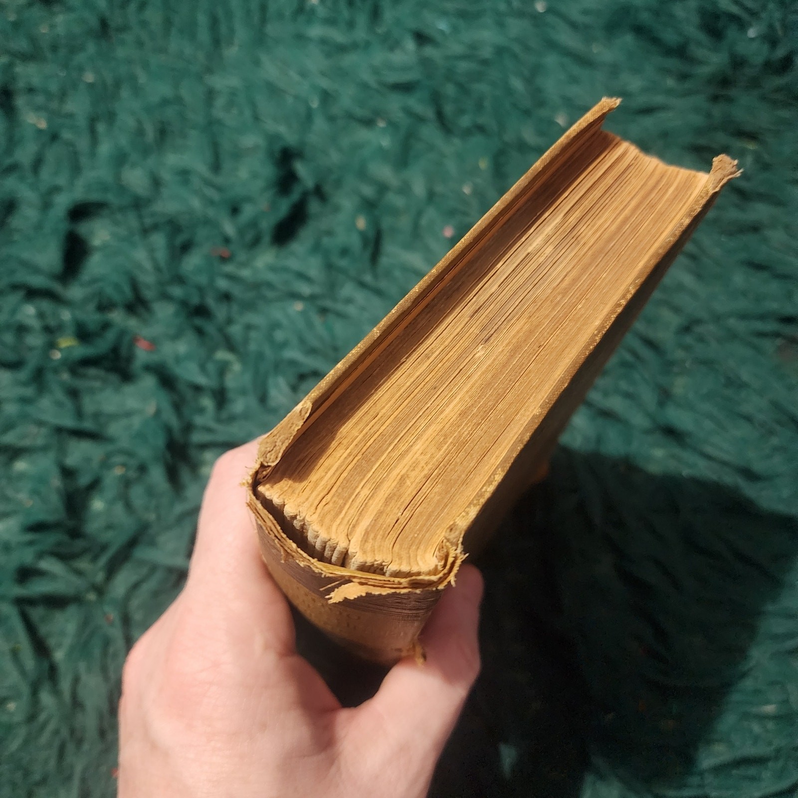 Antique Jules Verne Twenty Thousand Leagues Under the Sea
