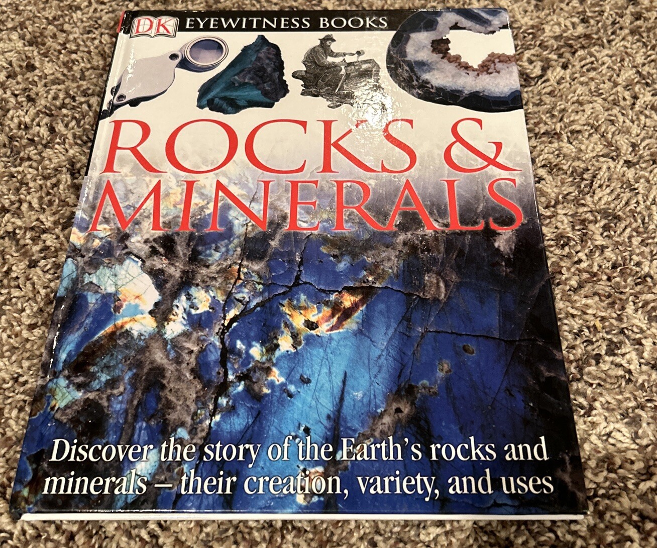 DK Eyewitness Bks.: Rocks and Minerals by R. Symes and Chris Pellant (2000,…