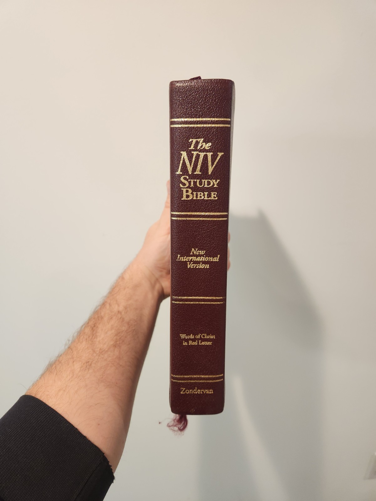 NIV Study Bible Zondervan 1995 Leather Burgundy Red Letter