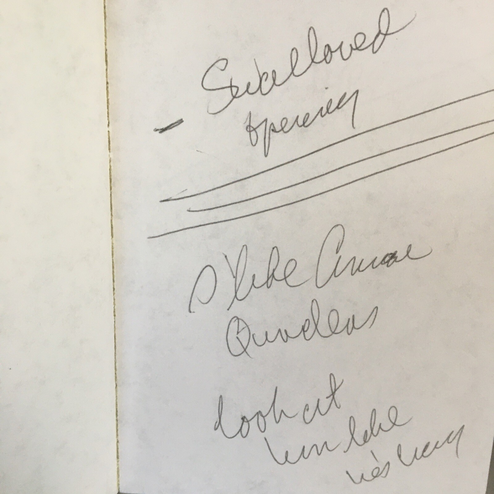 Seinfeld Table Draft “The Big Salad” August 18, 1994. Larry David