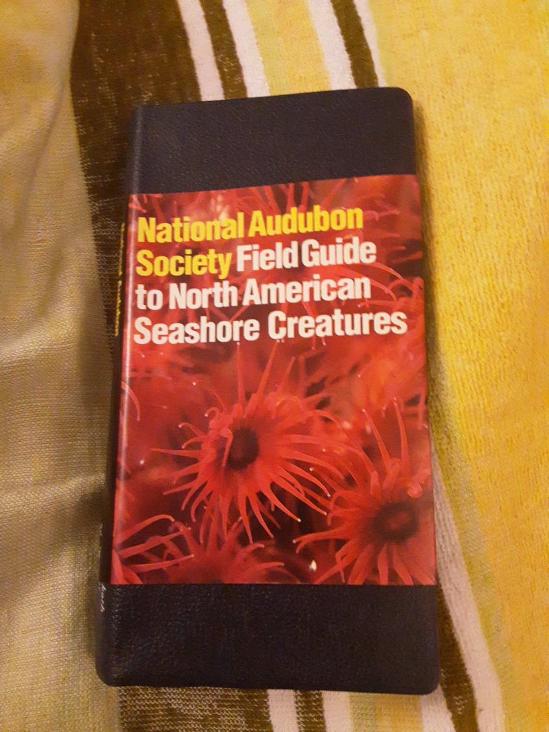 National Audubon Society Field Guides: National Audubon Society Field Guide…