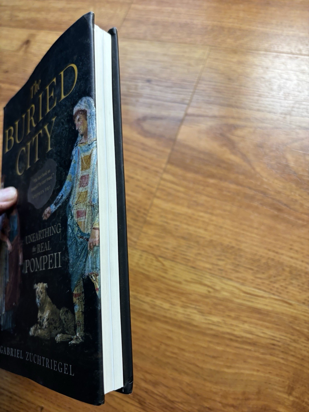Buried City : Unearthing the Real Pompeii, Hardcover by Zuchtriegel, Gabriel;…