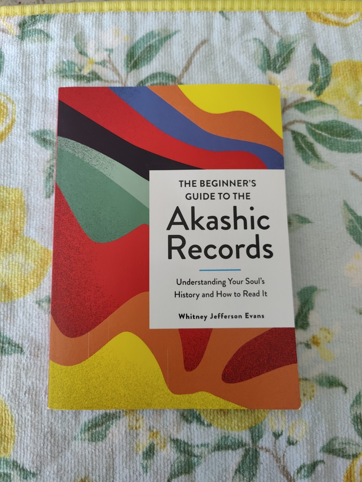 The Beg. Guide to Akashic Records; W. Evans; 2022; VG; Understand Soul’s History