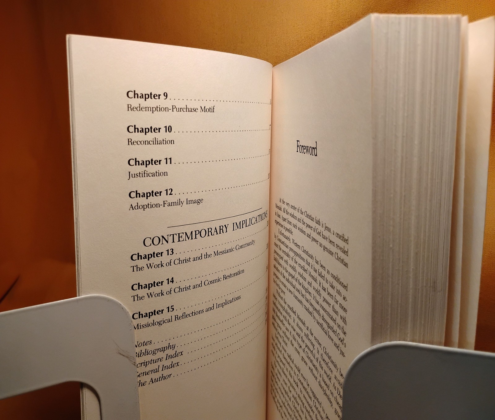 Liturgy Atonement Ecumenical Documents Theology Doctrine Unity 3 PB book lot