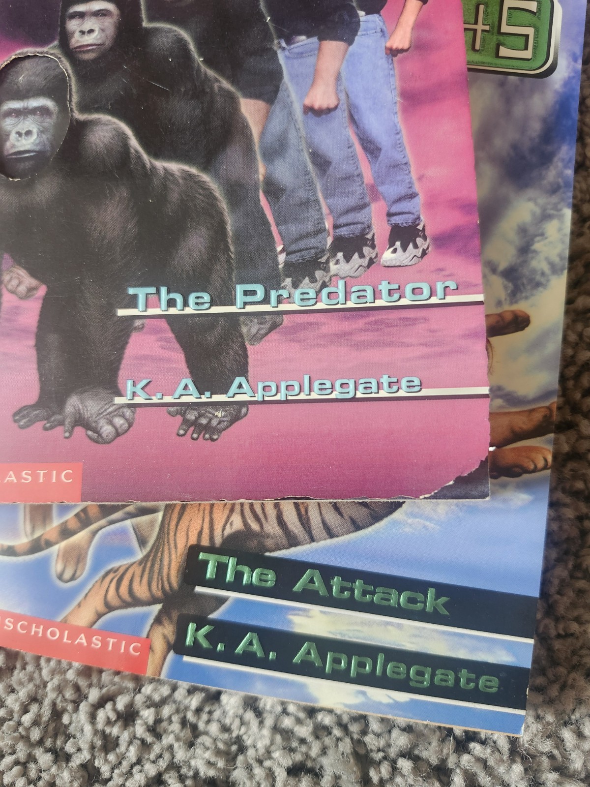 ANIMORPHS Books K.A. Applegate Paperback Lot Of 13
