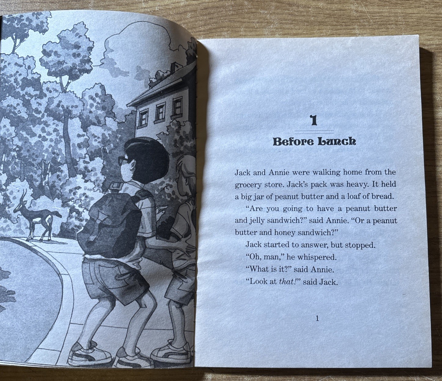Magic Tree House #11 Lions At Lunchtime