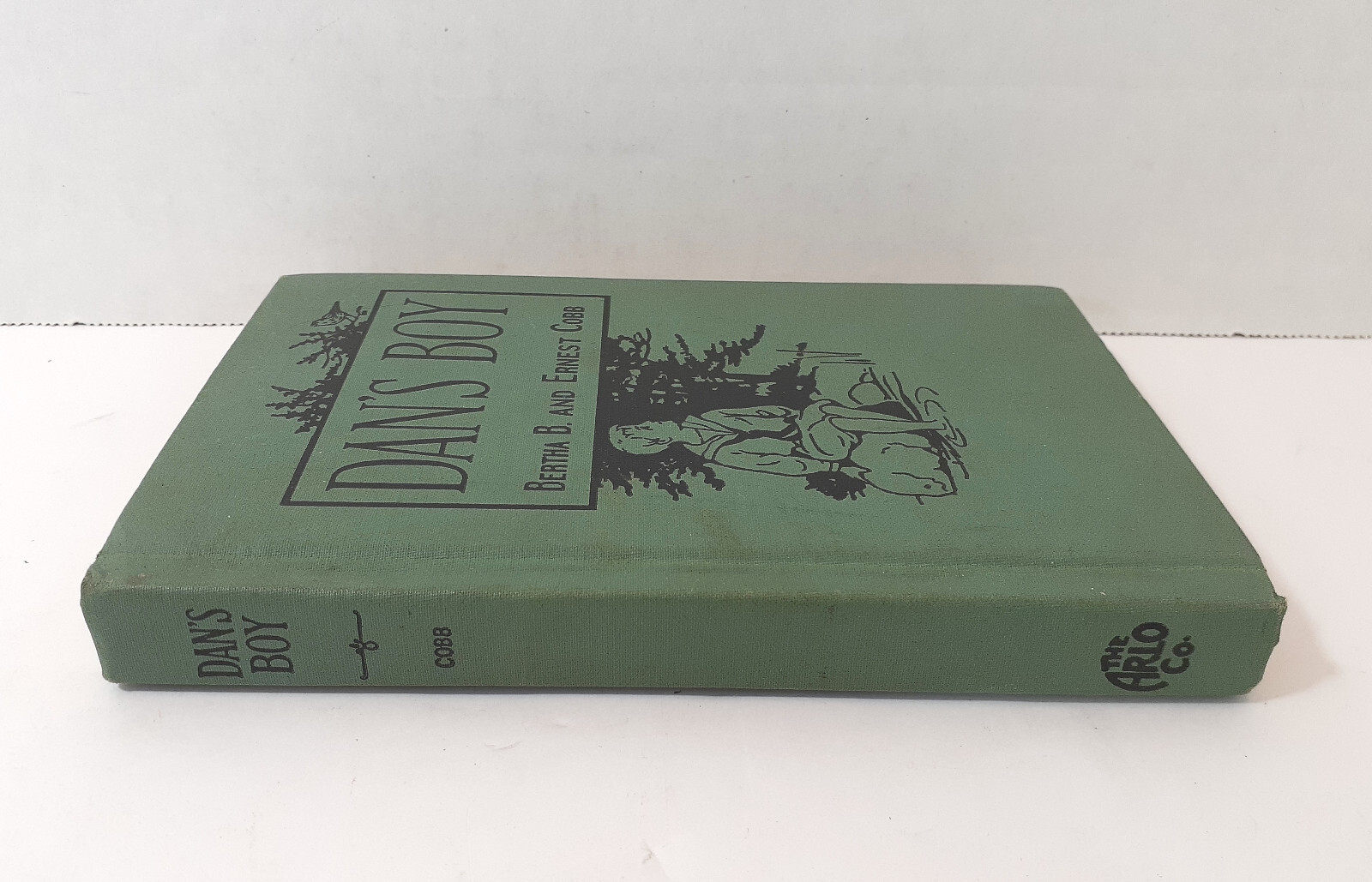 Dan’s Boy 1926 Childrens Book Bertha B and Ernest Cobb Hardcover Arlo Pub Vtg