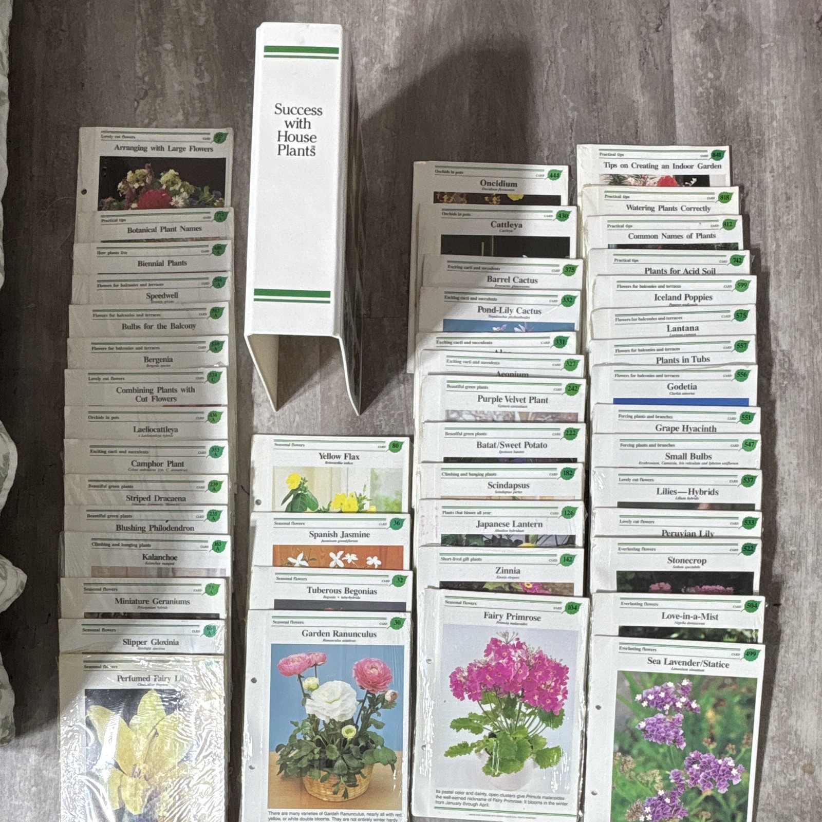 Vtg International Masters Success With House Plants Binder & 500+ Cards Sealed