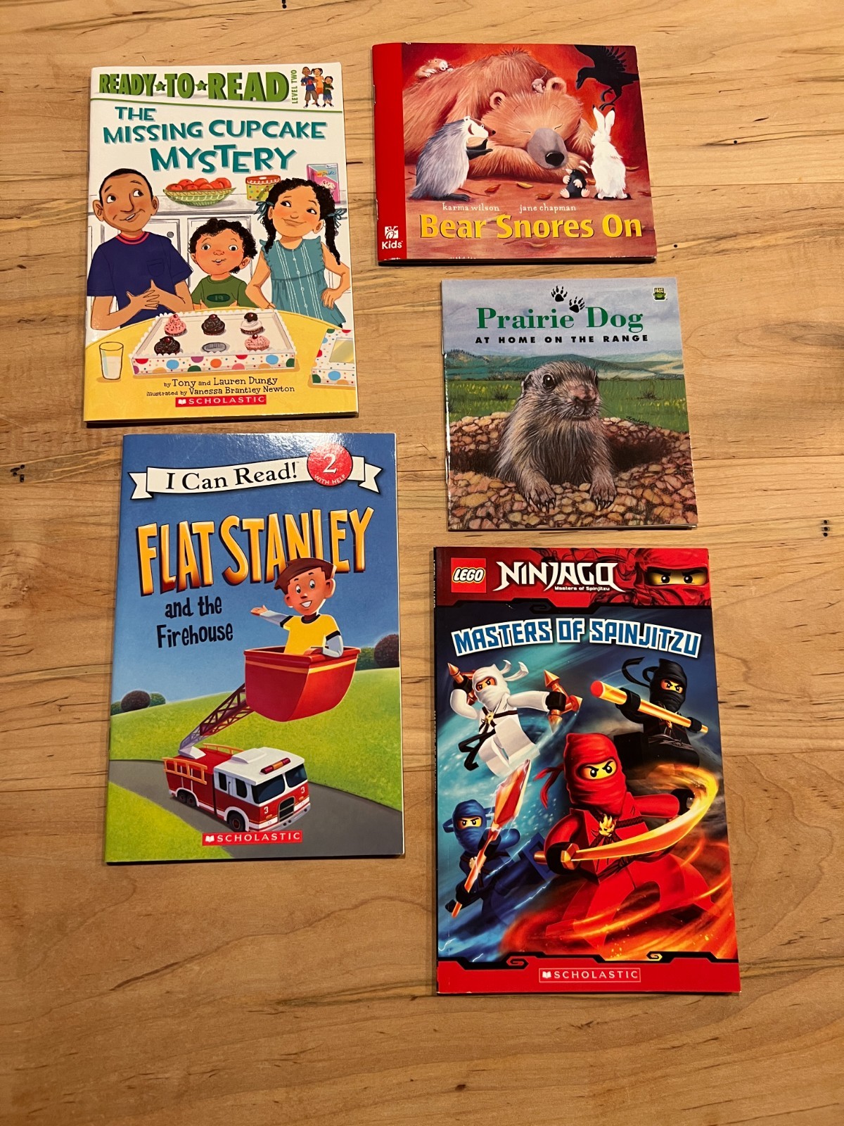 Bundle of Children’s books- Learning to Read, Set of 5 books, Homeschool, Class