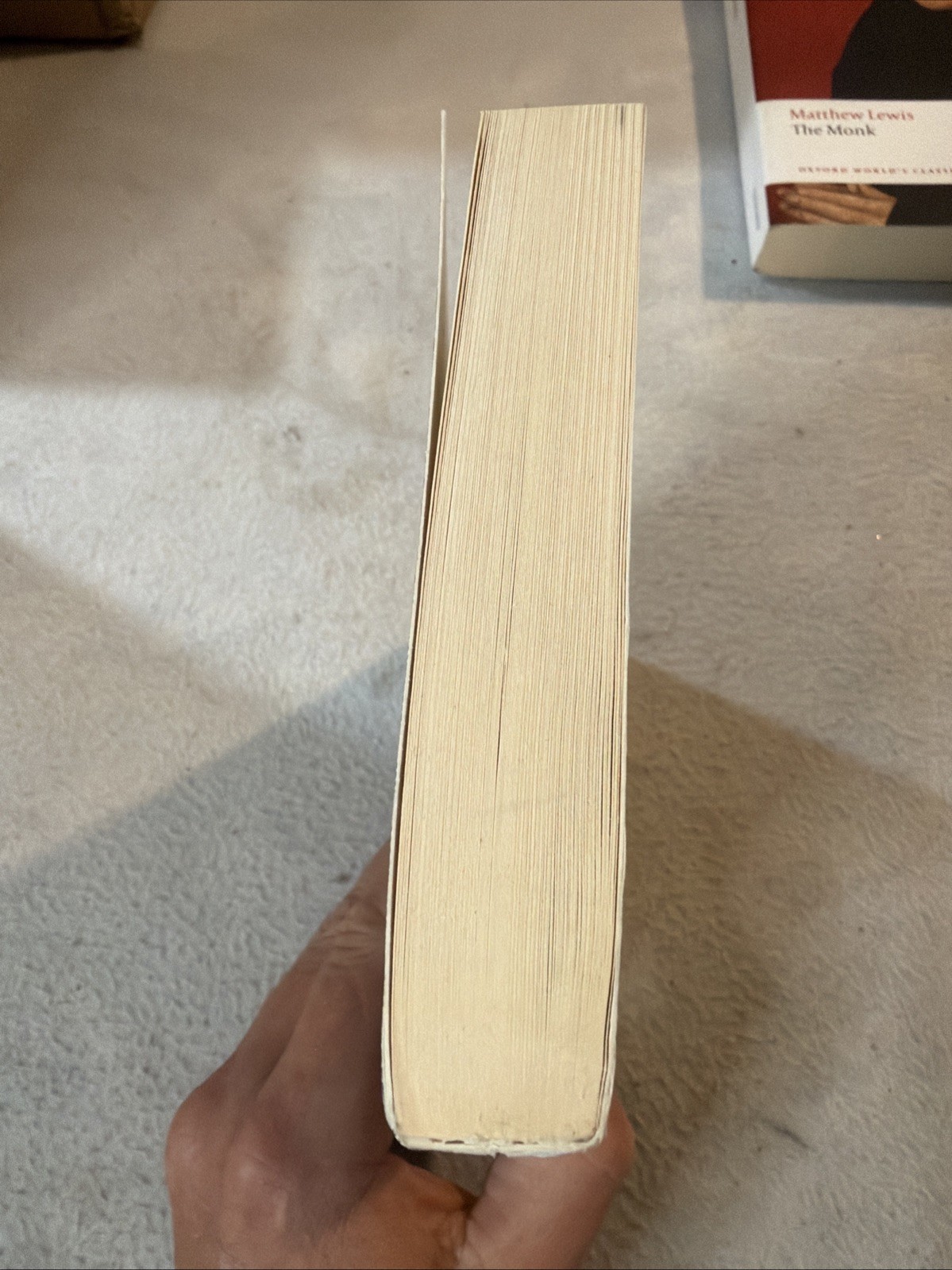 The Elementary Forms of Religious Life – Paperback By Durkheim, Emile