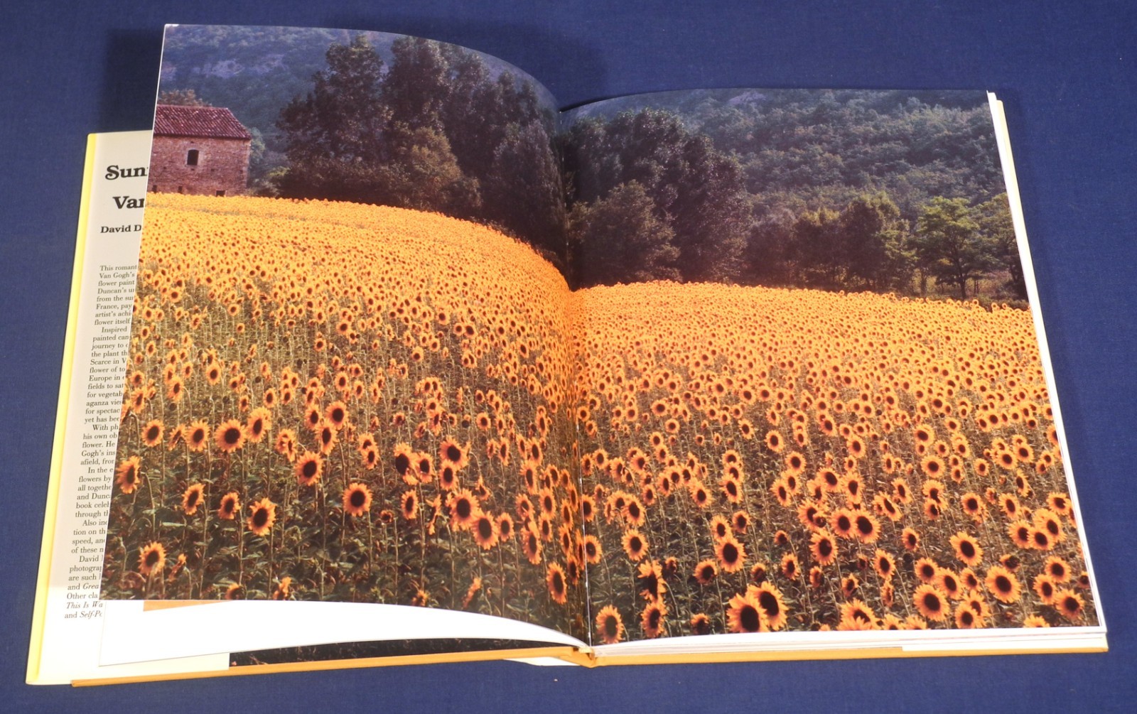 Sunflowers for Van Gogh by David Douglas Duncan – Large Picture Book HC/DJ illus