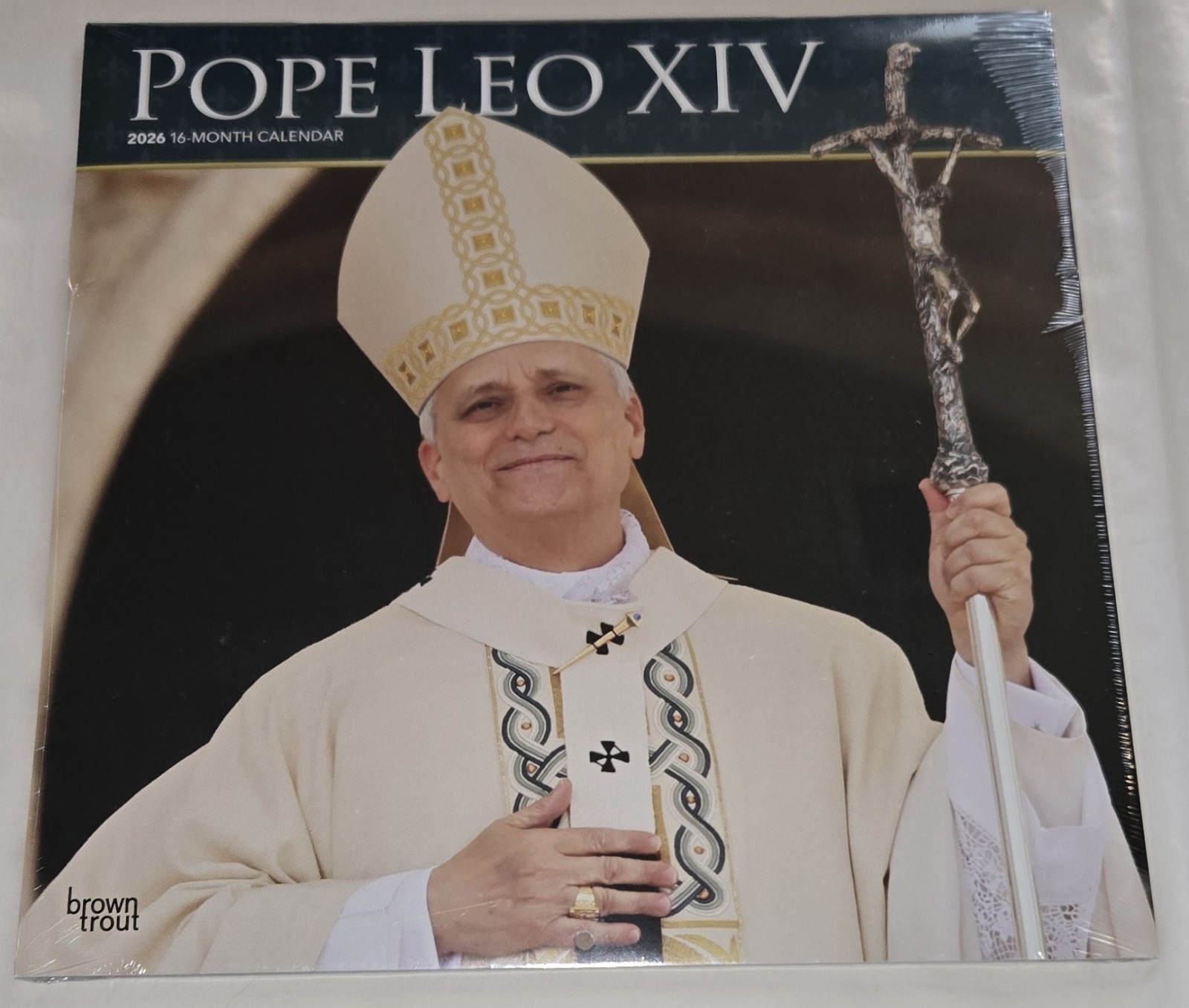 Pope Leo XIV 2026 12 X 24 Inch Hanging Wall Calendar Monthly pages