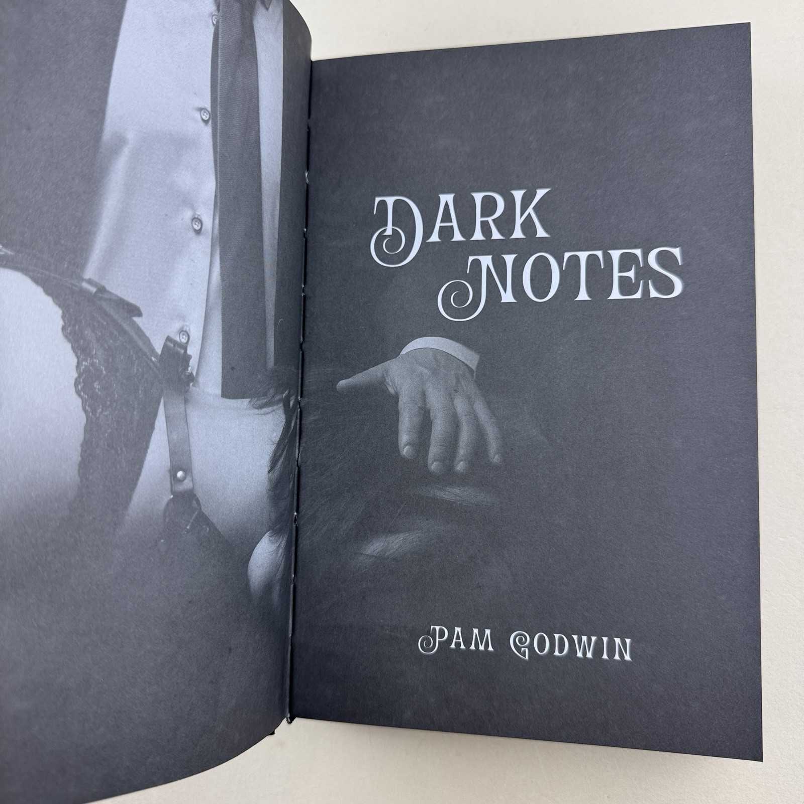 Pam Godwin Dark Notes Blackout Romance NSFW Special Edition Hardcover New