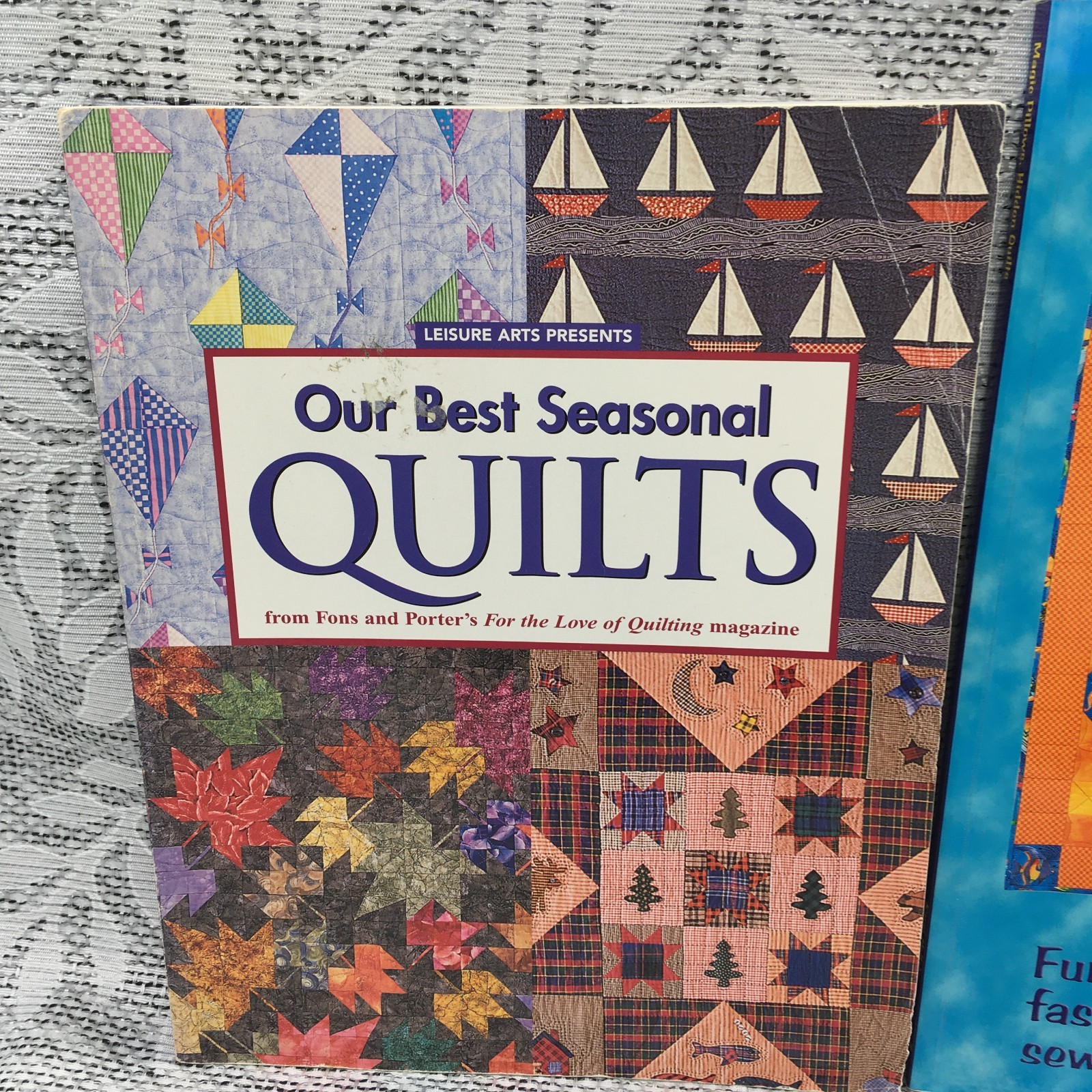 2 BOOK QUILTING COMBO~Magic Pillows, Hidden Quilts & Our Best Seasonal Quilts