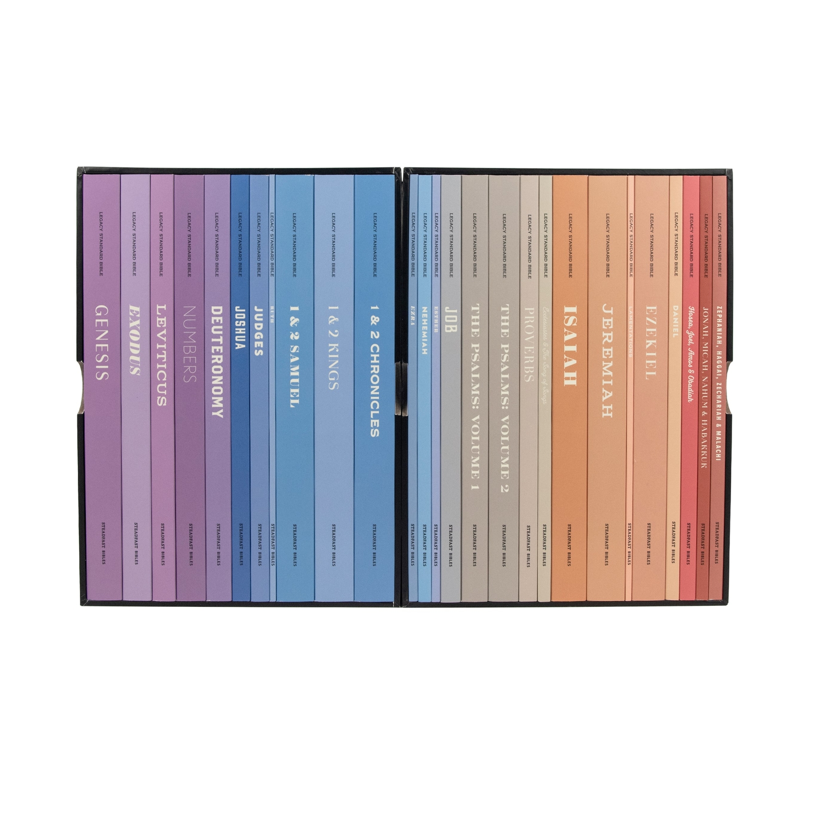 LSB SCRIPTURE STUDY NOTEBOOK: OLD TESTAMENT SET