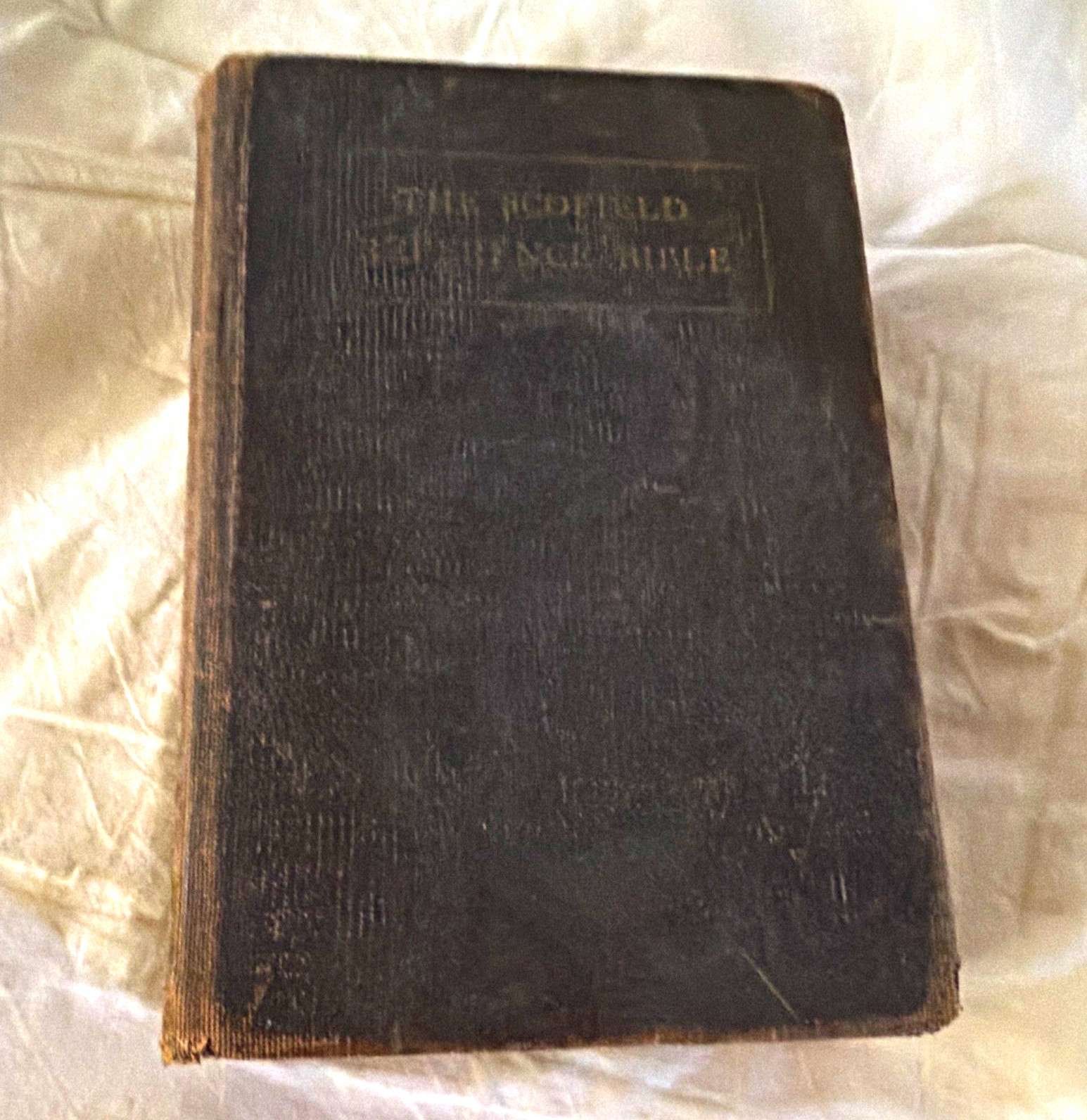 Antique Bible worn cover Scofield Reference flowers pressed riser display 1925