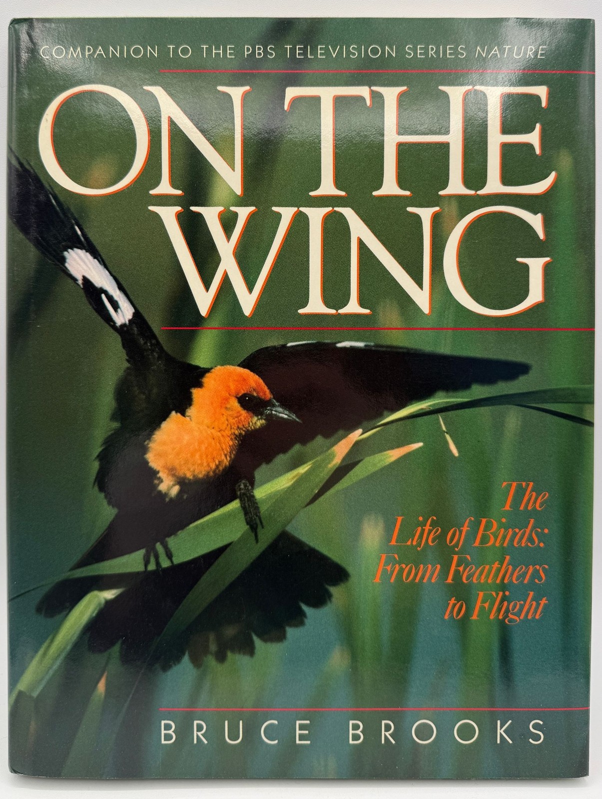 On the Wing Bruce Brooks Hardcover 1989 Birds Nature Photography Scribners