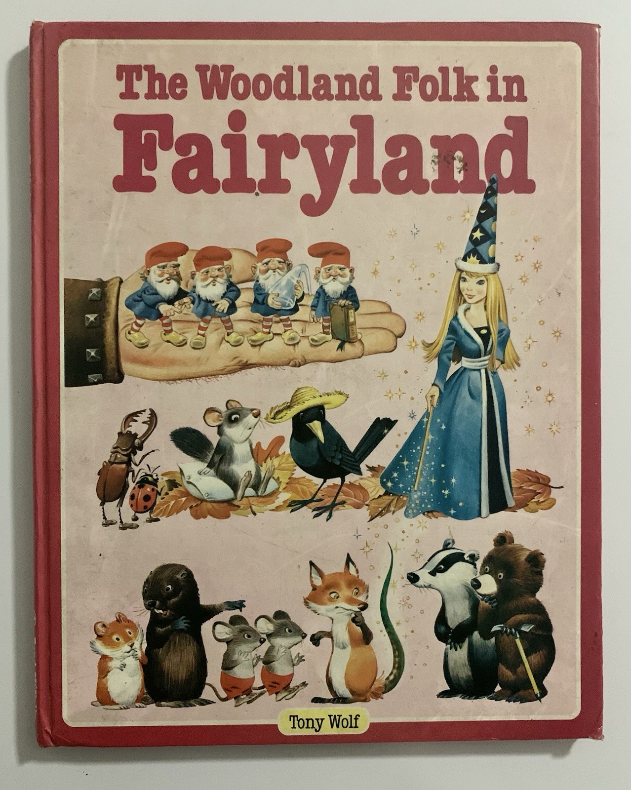 VINTAGE!!! The Woodland Folk in Fairyland Written By Tony Wolf