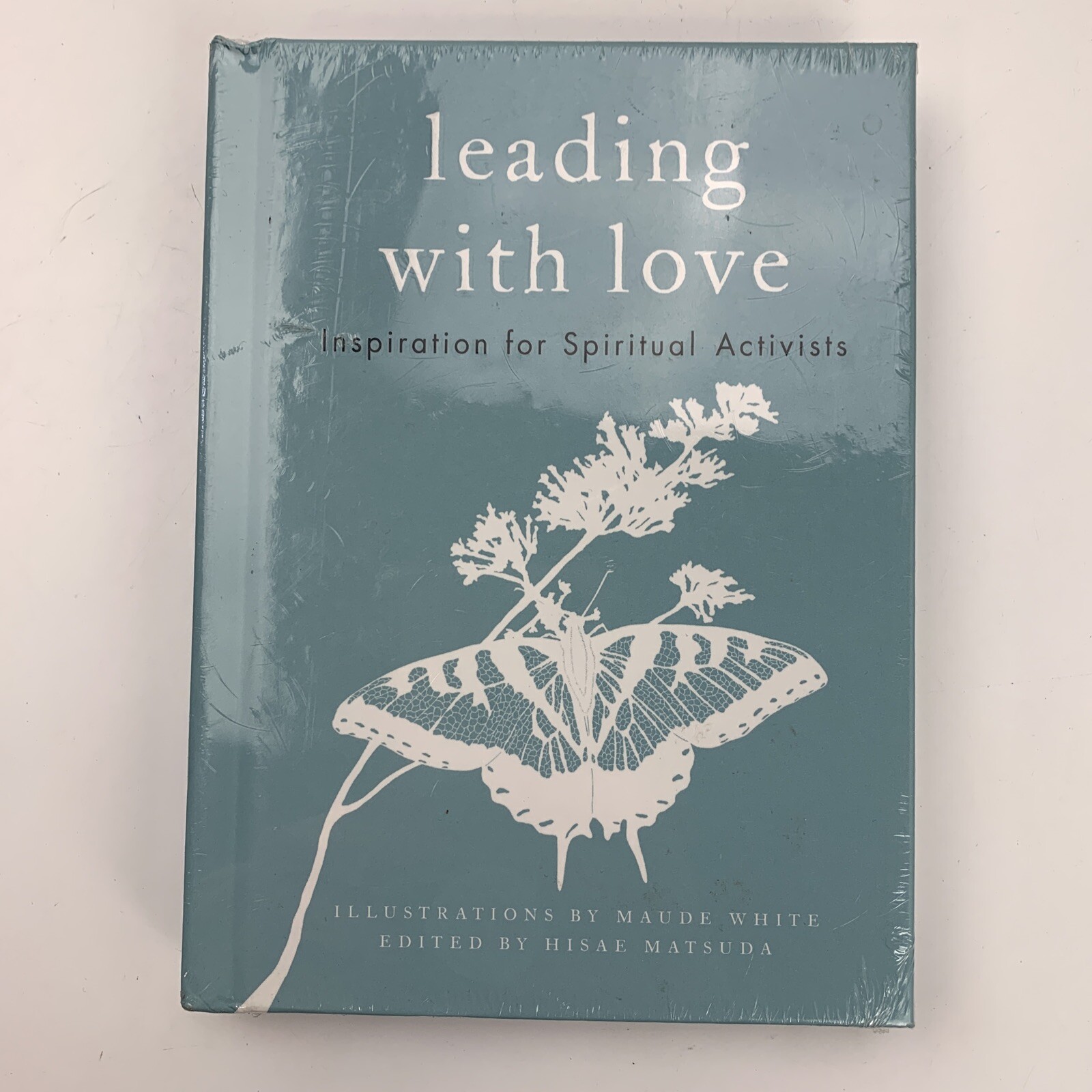 Leading with Love: Inspiration for Spiritual Activists by Hisae Matsuda Book New