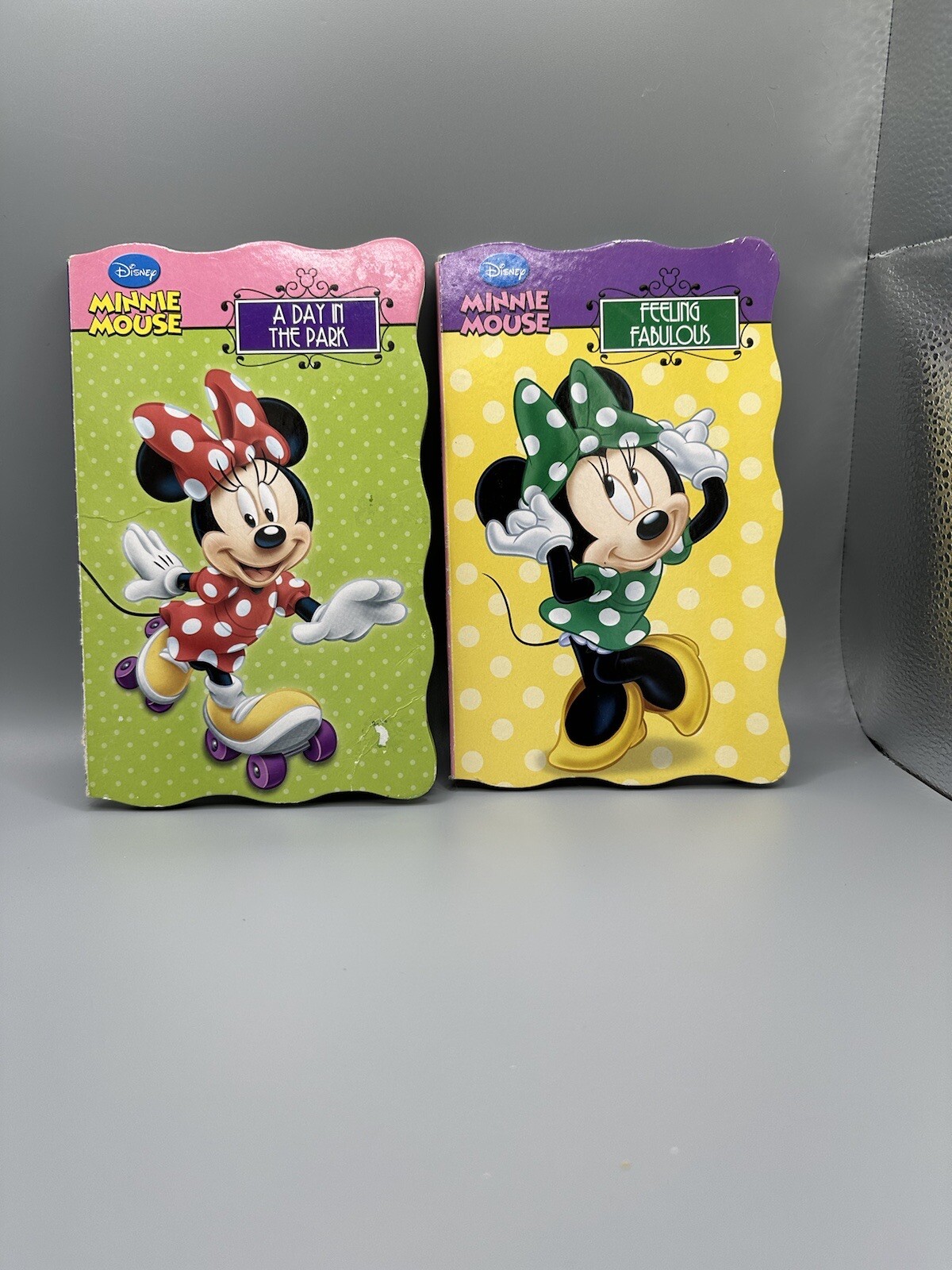 Disney Minnie Mouse Lot Of 2 Book 2013 Feeling Fabulous Day In The Park READ