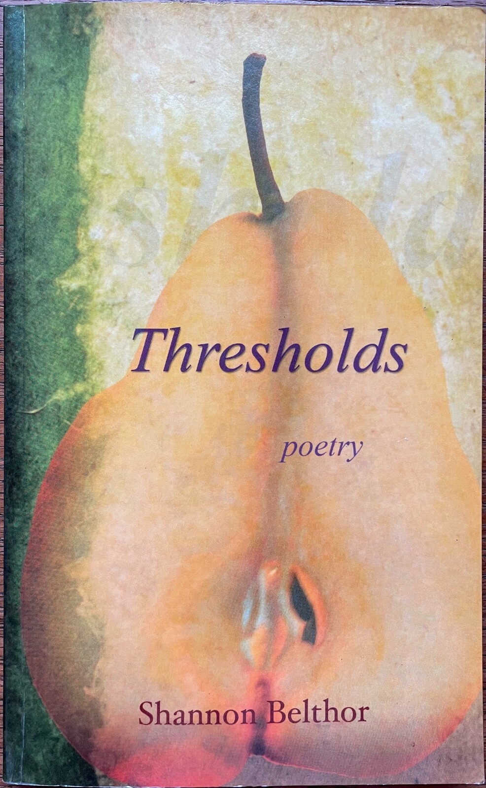 Thresholds by Shannon Belthor (2010, Softcover -1st EDITION, INSCRIBED, SIGNED)