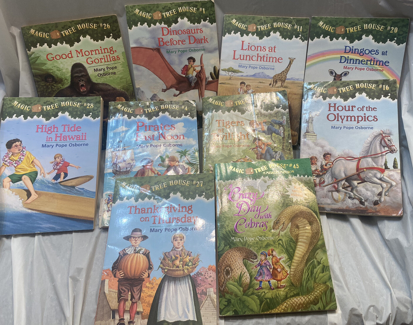 Lot of 10 Magic Tree House Books by Mary Osborne Child Kids Chapter Books ~ GOOD