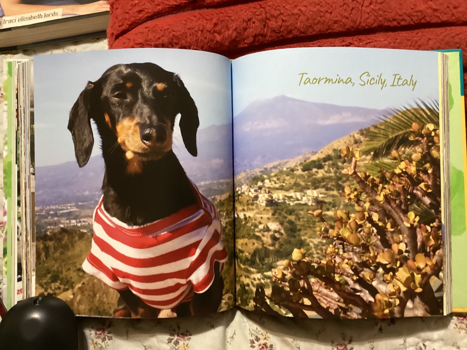 CRUSOE, THE WORDLY WIENER DOG, DACHSHUND, EXC. COND,230 PAGES/ FREE POSTAGE!!!!!
