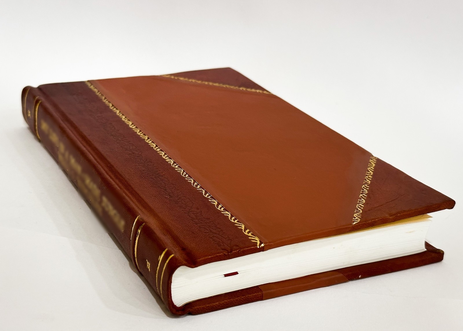 Kurze Uebersicht Der Geschichte Des Hoch-Furstlichen Hauses Reu [Leather Bound]