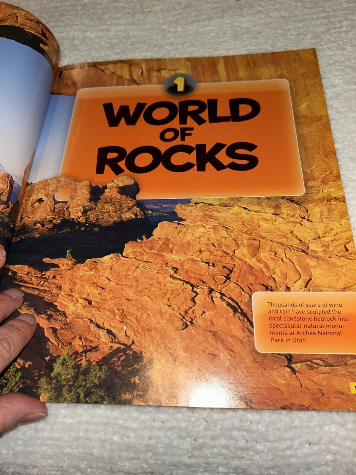 Everything Rocks And Minerals Steve Tomecek Paperback National Geographic
