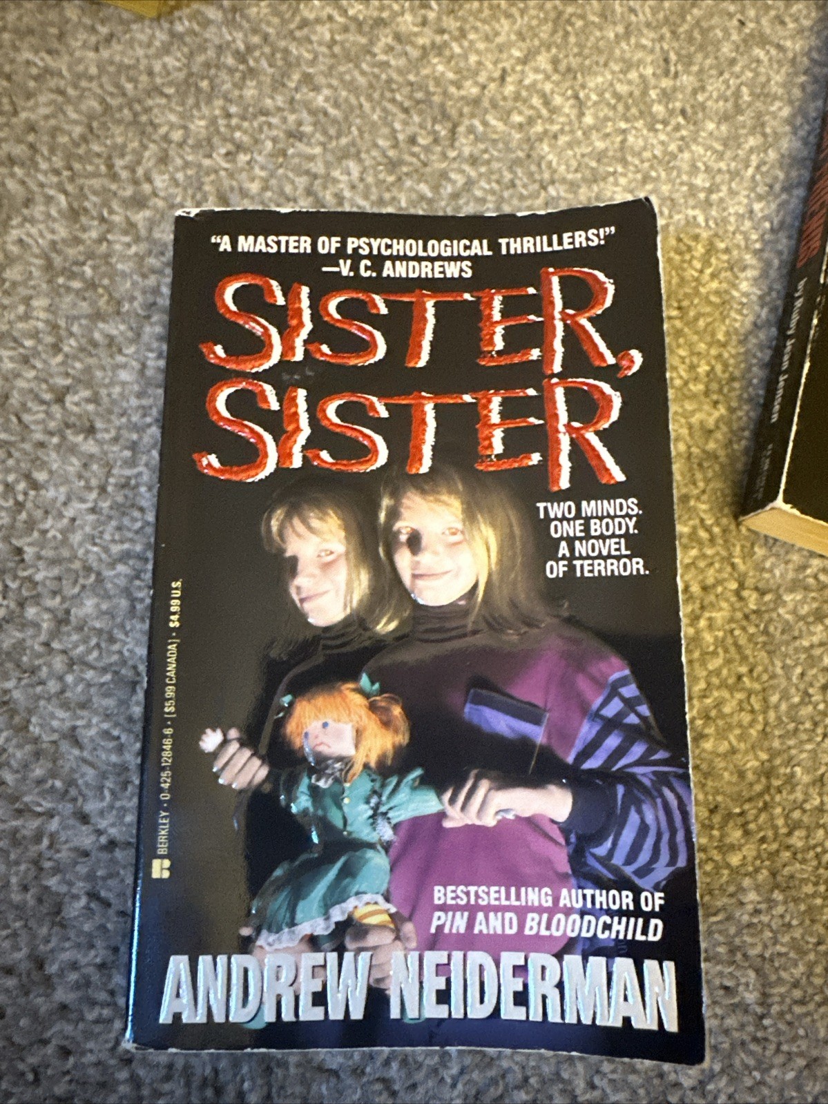 Sister, Sister by Andrew Neiderman 1992 First edition, First printing
