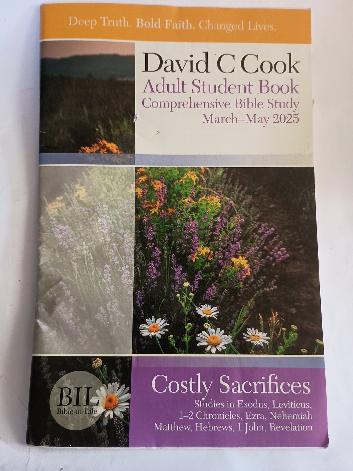 Costly Sacrifices by David C. Cook Adult Student Book (March – May 2025) Q3