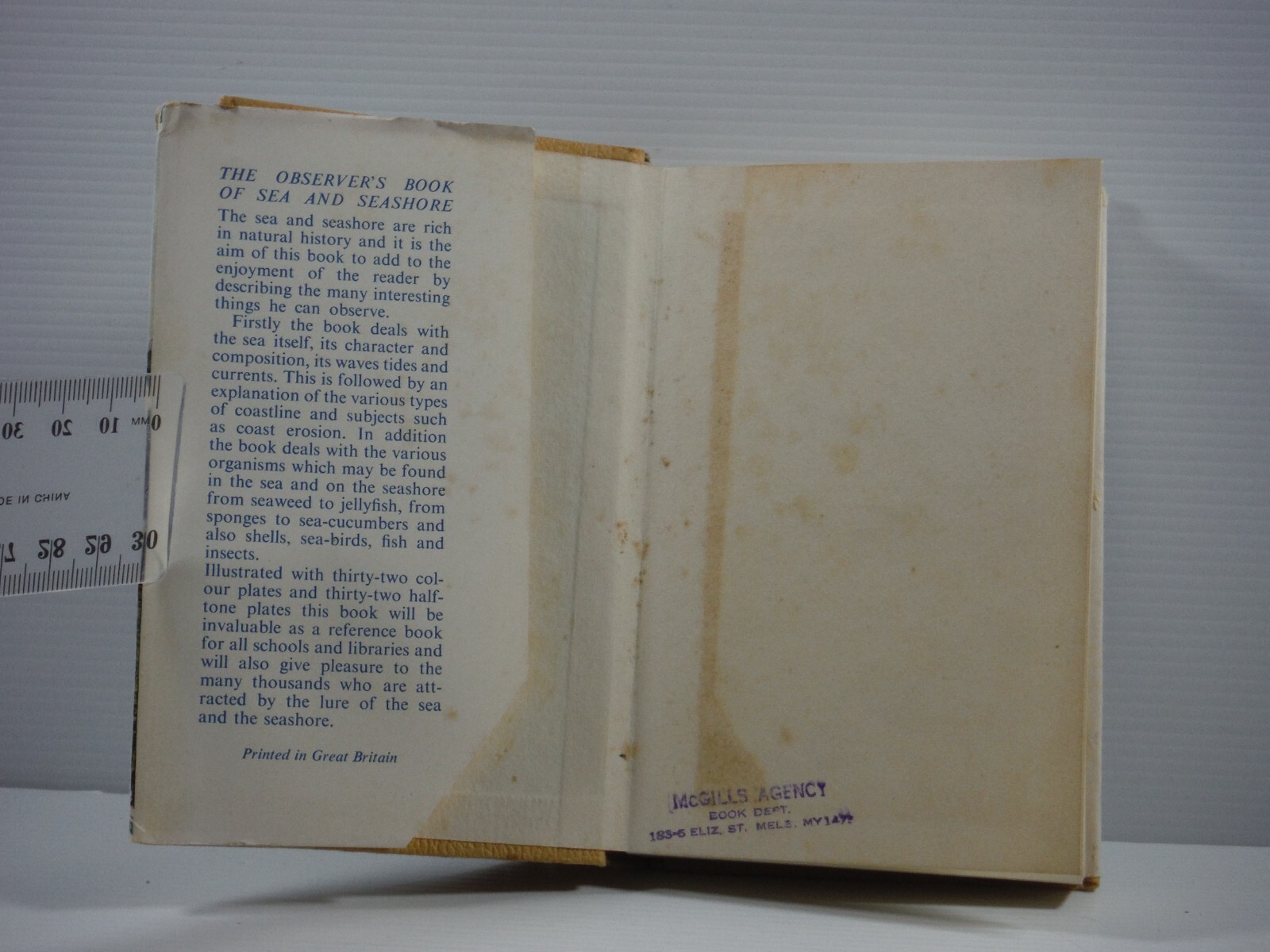 The Observer’s Book of Sea and Seashore hardcover by I O Evans 1962 vintage DJ