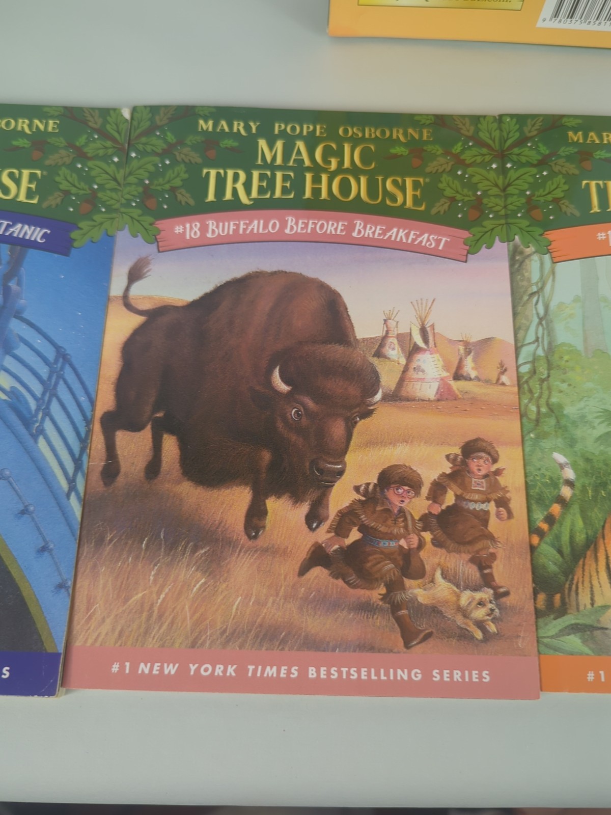 Magic Tree House Books 17-20 Boxed Set By Mary Pope Osborne