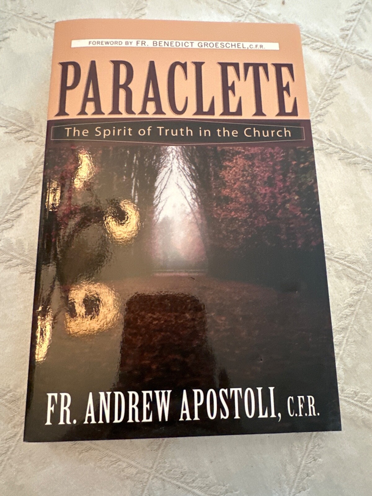 Paraclete: The Spirit of Truth in the Church by Apostoli, Andrew