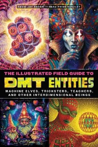 David Jay Brown Sara Phinn Hu The Illustrated Field Guide to DMT Ent (Paperback)