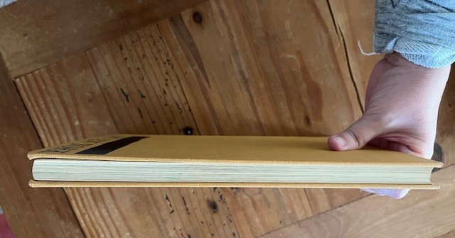 Lost New York by Nathan Silver (1967 First Ed. 3rd Printing) HC/DJ illustrations