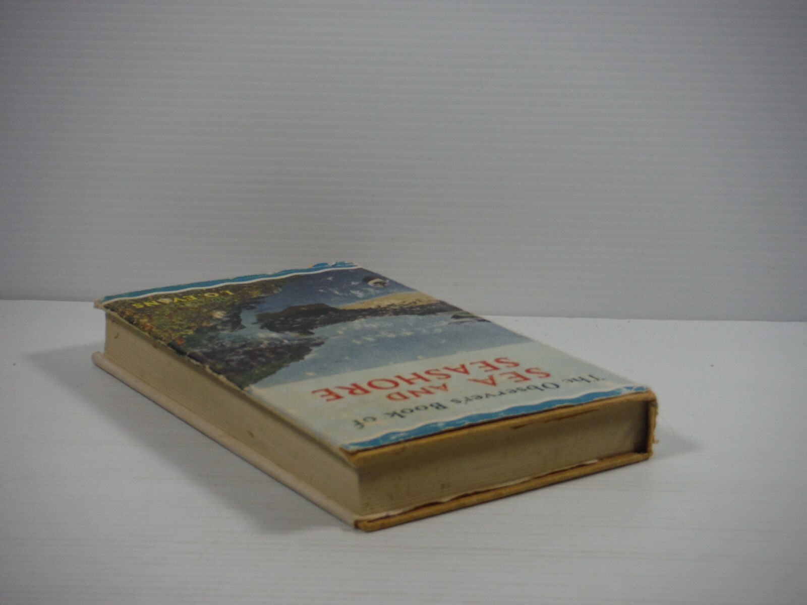 The Observer’s Book of Sea and Seashore hardcover by I O Evans 1962 vintage DJ