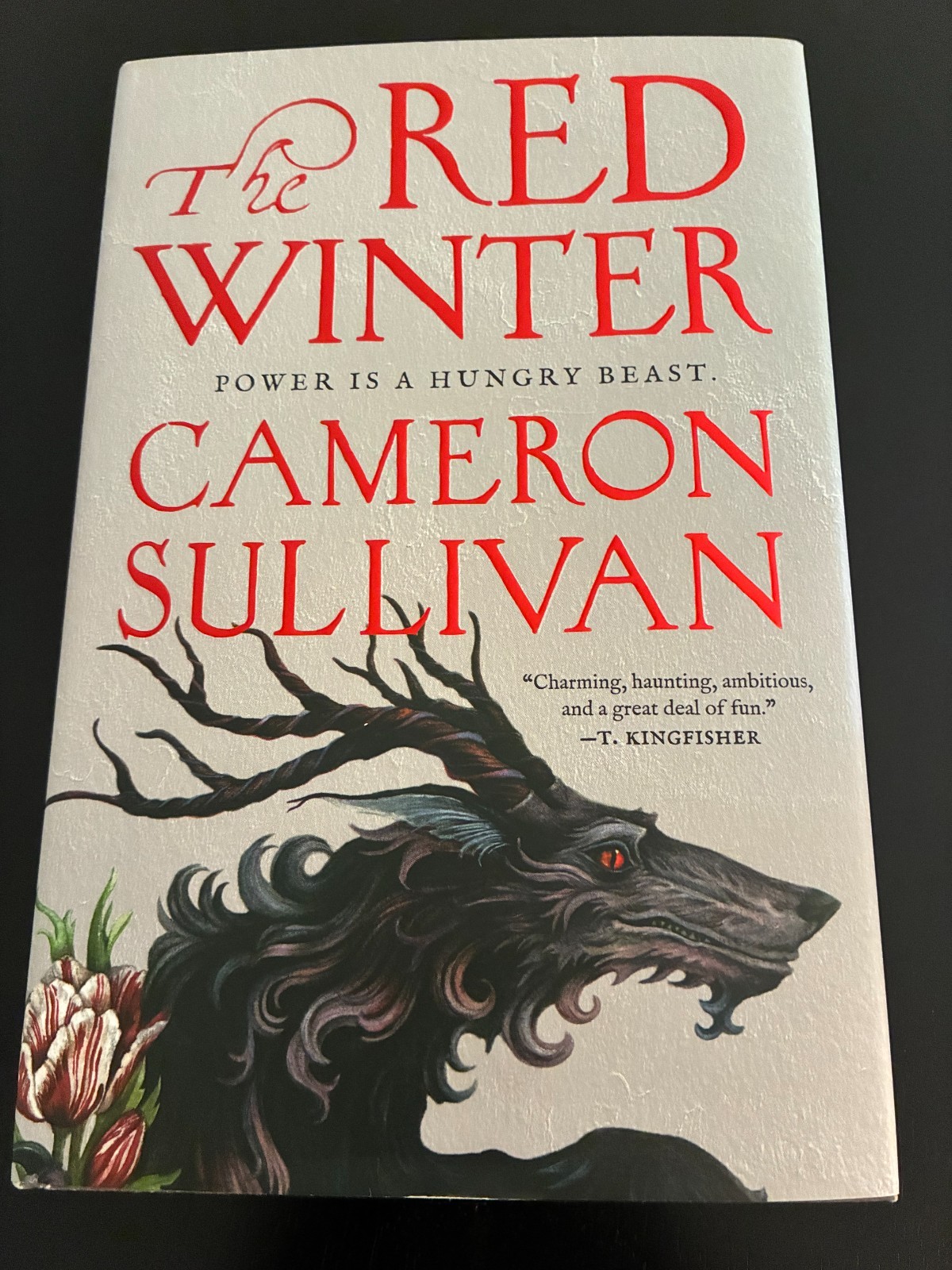The Red Winter Cameron Sullivan 2026 1st Edition HC DJ Red Sprayed Edges VG