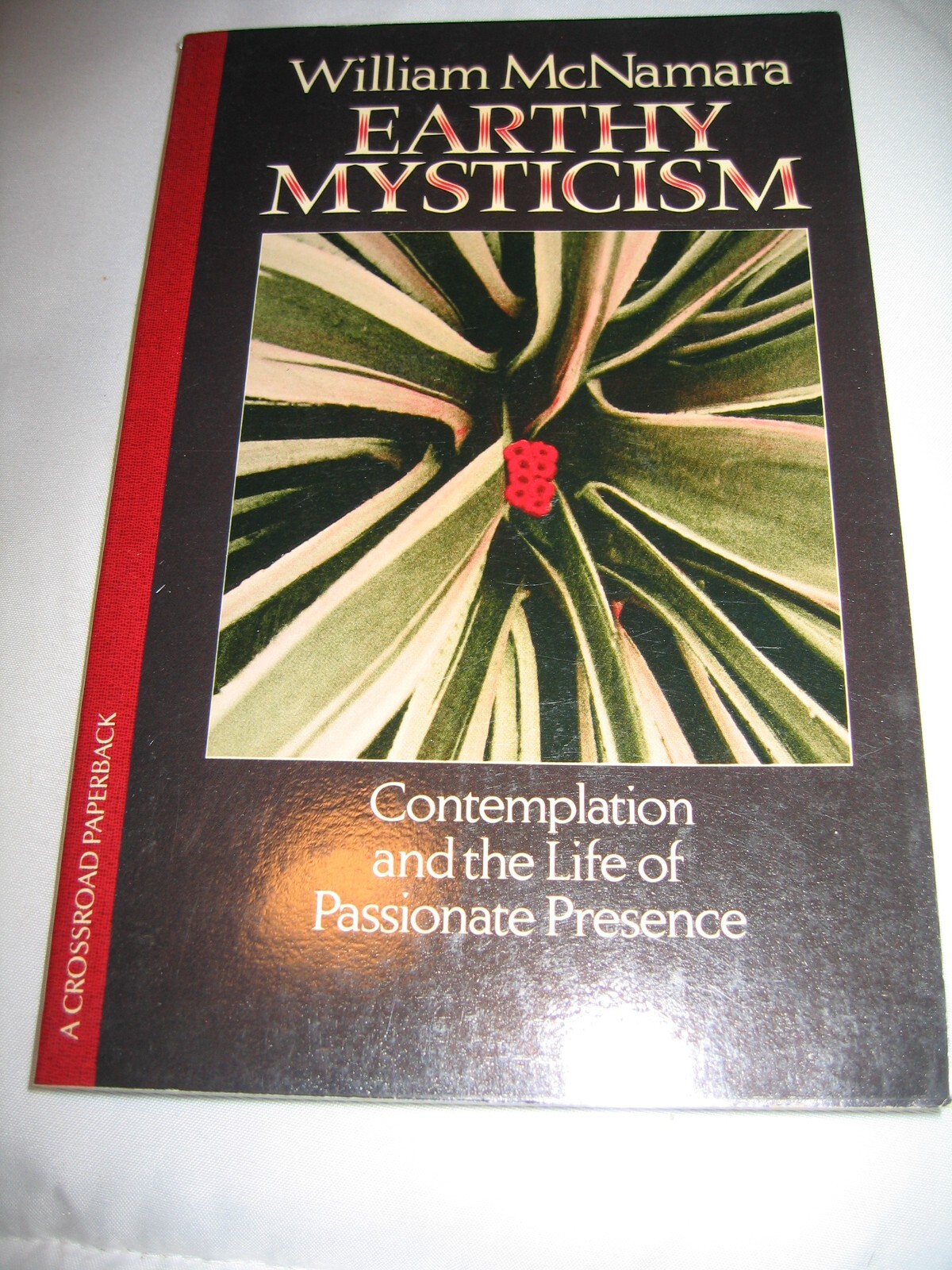 EARTHY MYSTICISM: CONTEMPLATION AND THE LIFE OF PASSIONATE By William Mcnamara