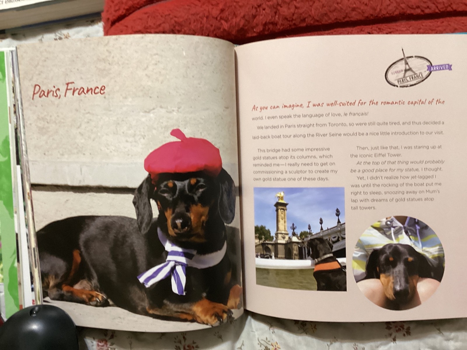 CRUSOE, THE WORDLY WIENER DOG, DACHSHUND, EXC. COND,230 PAGES/ FREE POSTAGE!!!!!