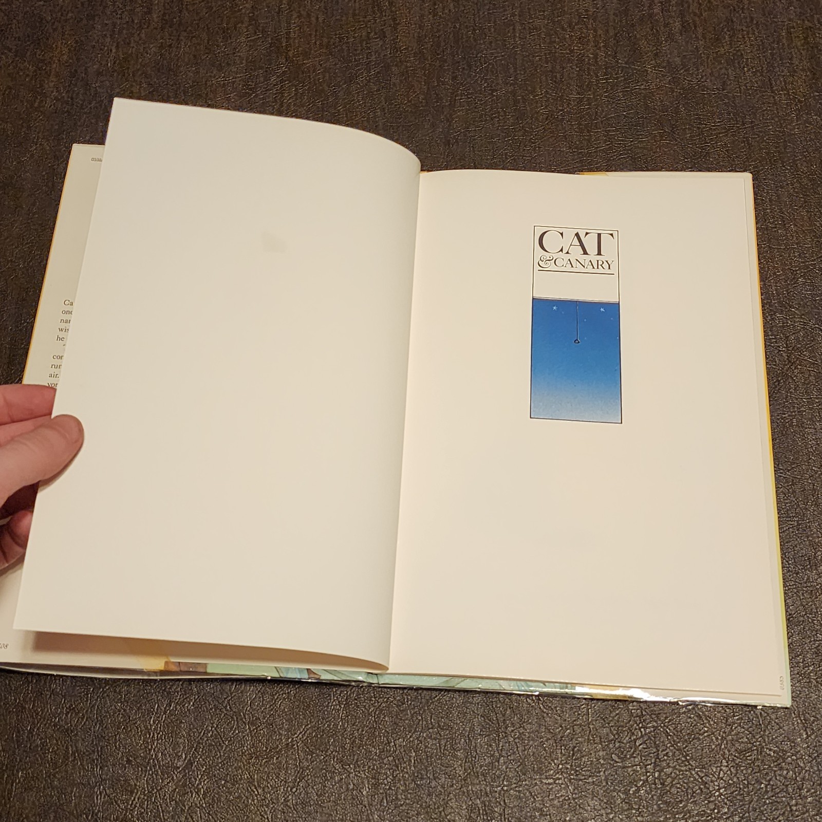 1st Edition Print – Cat and Canary Hardcover Michael Foreman Hardcover DJ GREAT