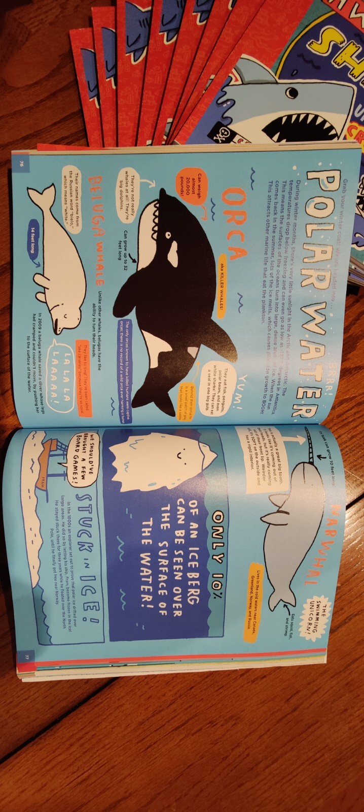 Everything about Sharks and Other Underwater Creatures by Mike Lowery BRAND NEW