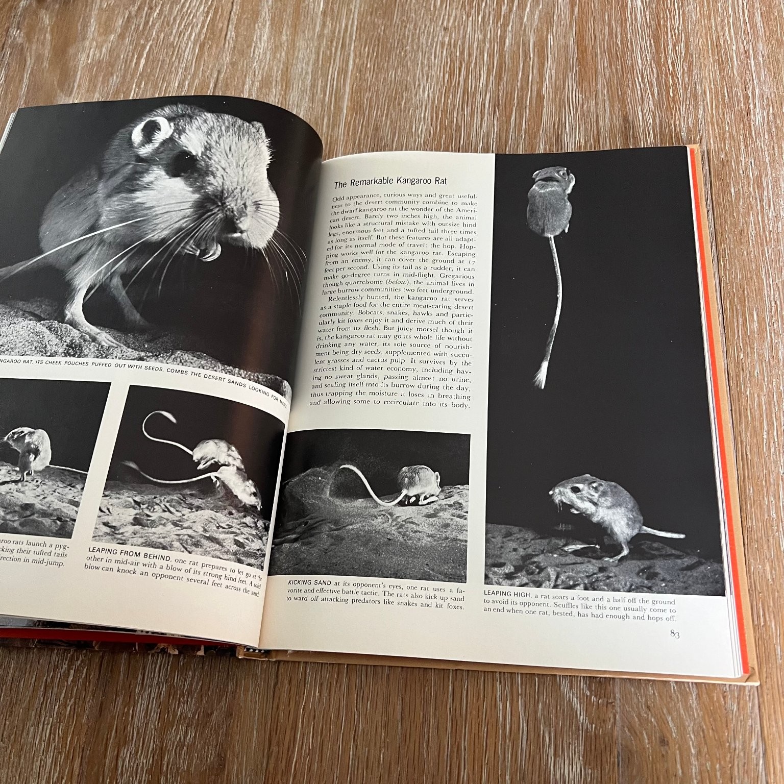 The Desert A. Starker Leopold 1971 Revised Edition Life Nature Library Time-Life