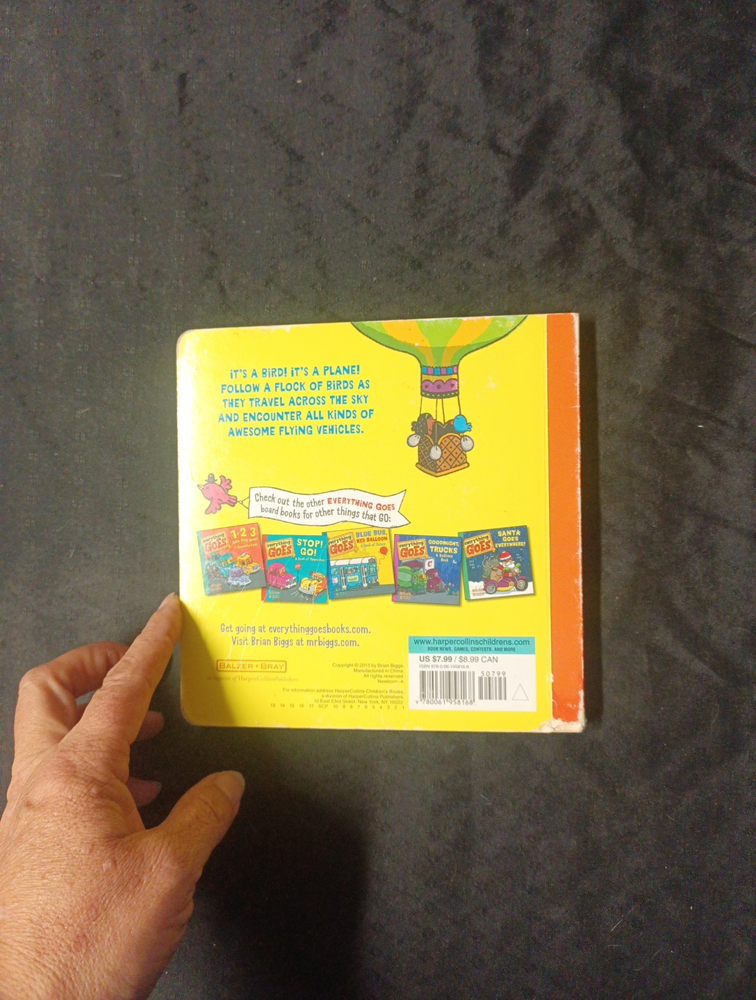 Everything Goes: What Flies in the Air? by Brian Biggs (2013, Children’s…