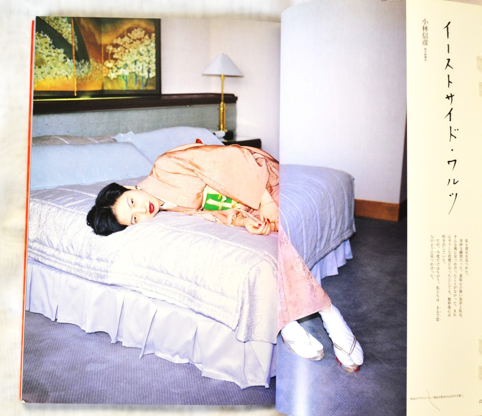Nobuyoshi Araki Photo Book Novel-themed photos large book 29 x 21 cm 135P Rare
