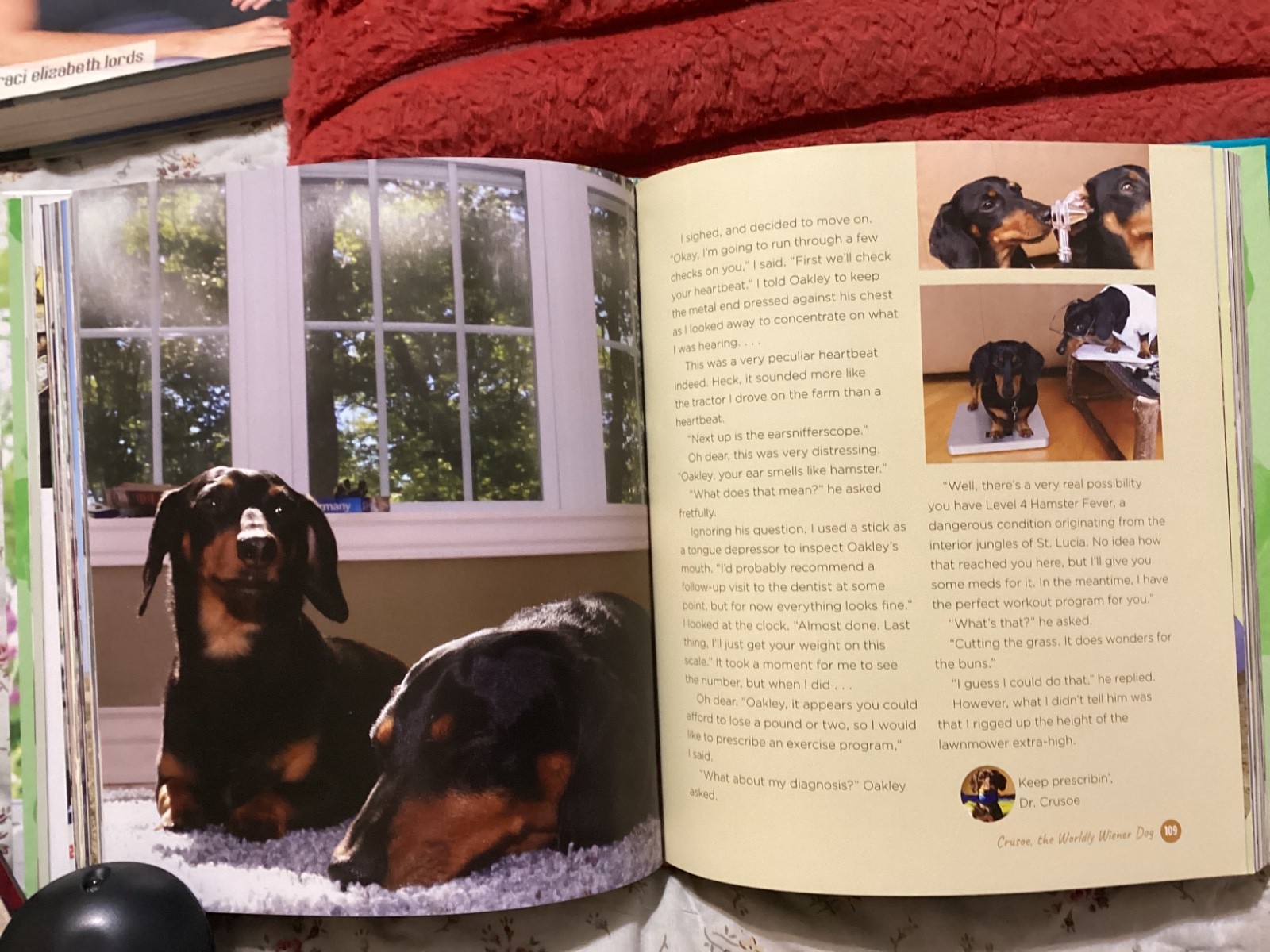 CRUSOE, THE WORDLY WIENER DOG, DACHSHUND, EXC. COND,230 PAGES/ FREE POSTAGE!!!!!